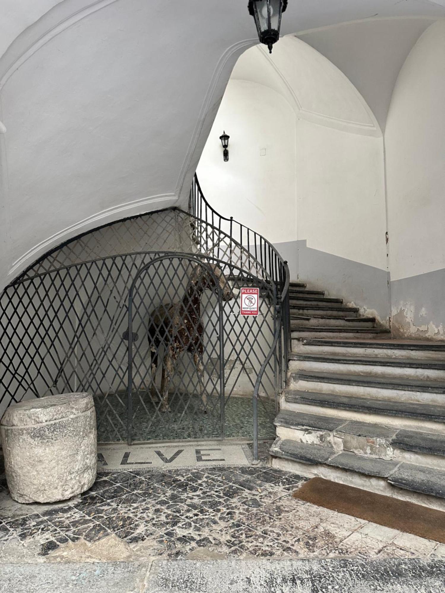 La Casa Smorfiosa - Centro Storico Naples